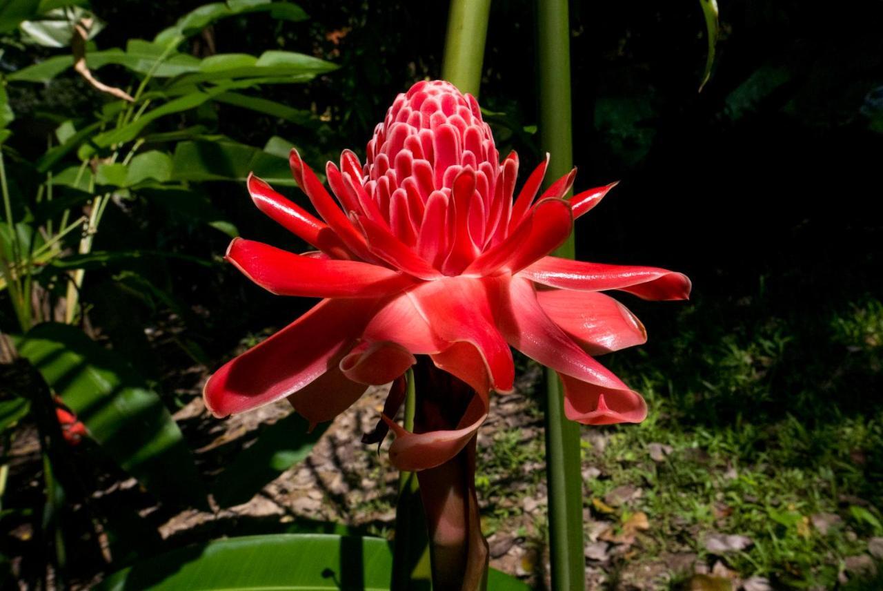 Ban Sabai Village Resort & Spa Chiang Mai Buitenkant foto