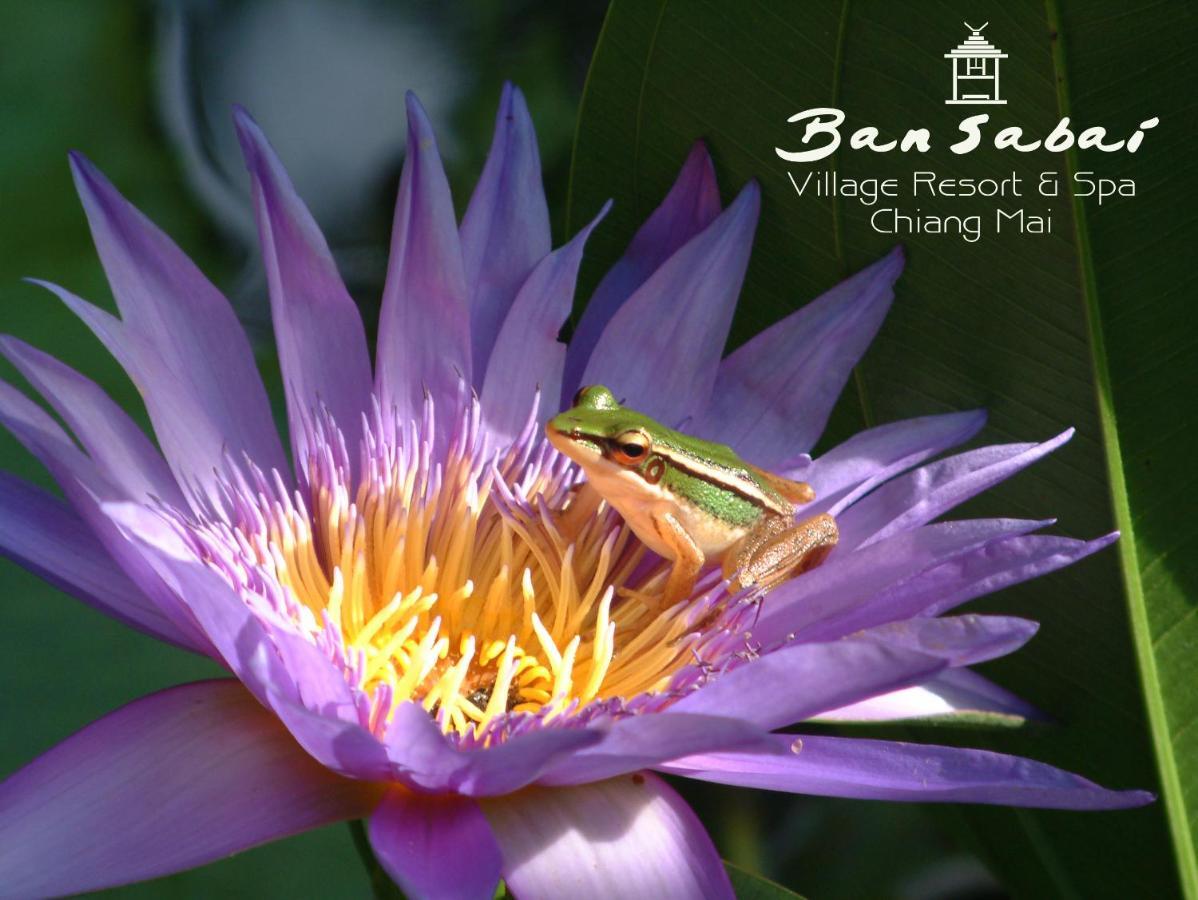 Ban Sabai Village Resort & Spa Chiang Mai Buitenkant foto