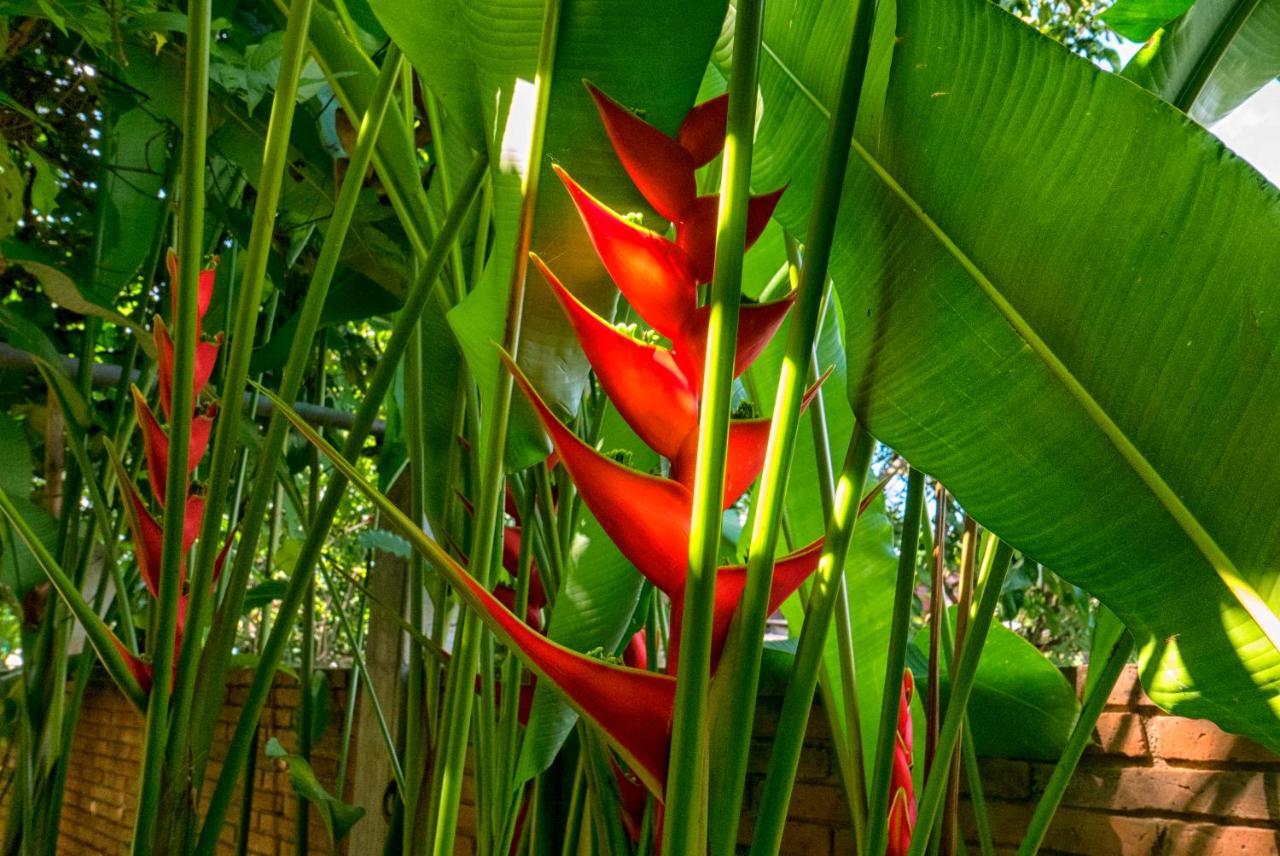 Ban Sabai Village Resort & Spa Chiang Mai Buitenkant foto